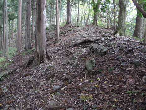 20181009hike (182)
